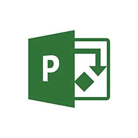 Install Microsoft Project